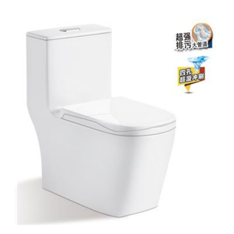 景龙马桶陶瓷坐便器防
